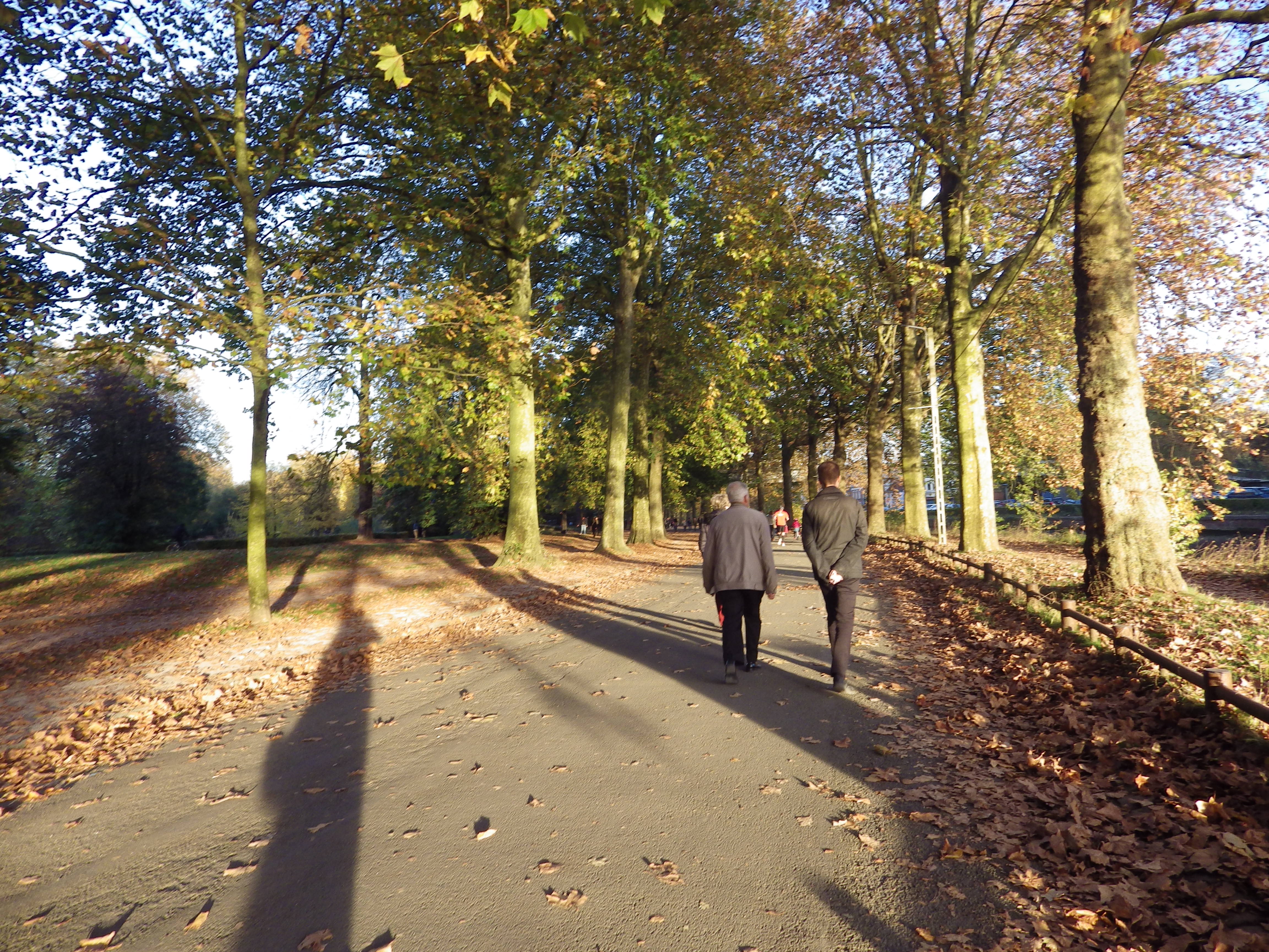 Image photo halloween