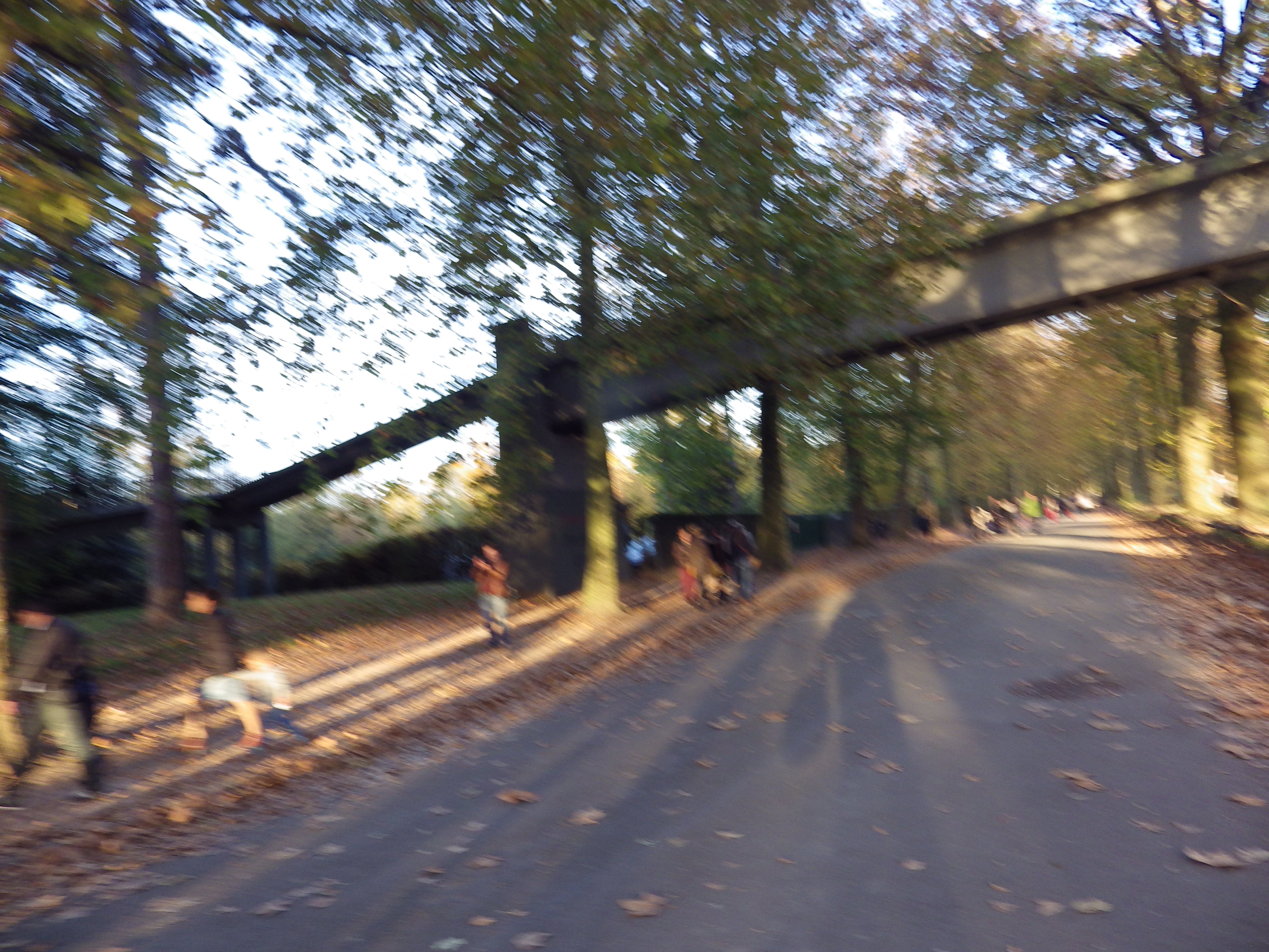 Image photo halloween