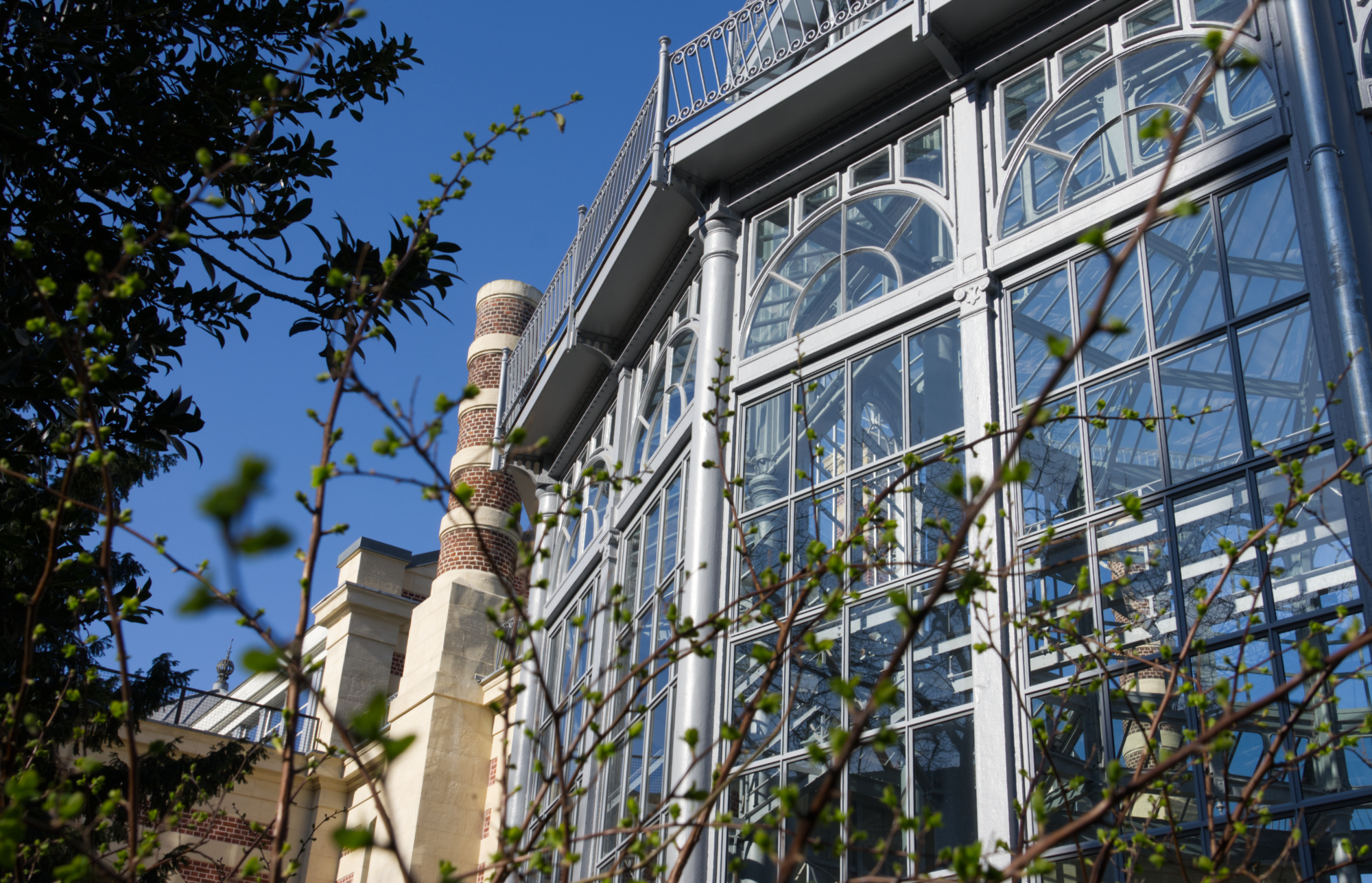 Photo au Palais Rameau Lille